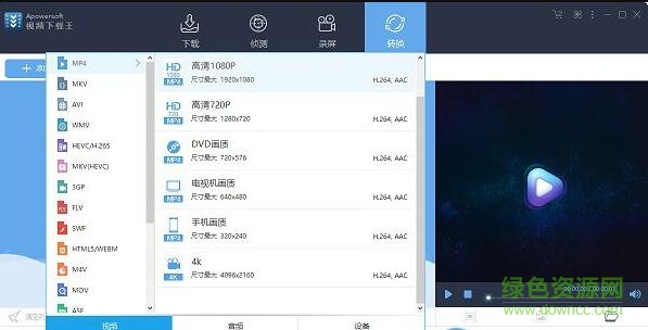 video grabber软件