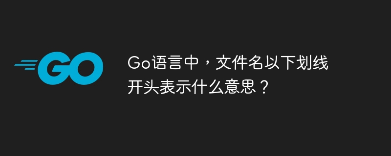 go语言中，文件名以下划线开头表示什么意思？