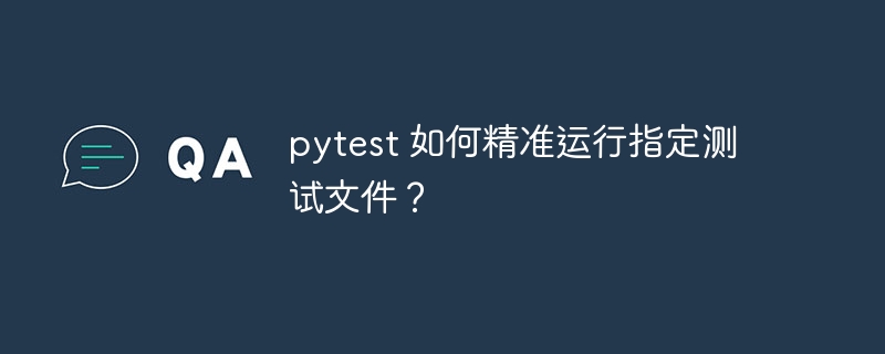 pytest 如何精准运行指定测试文件？