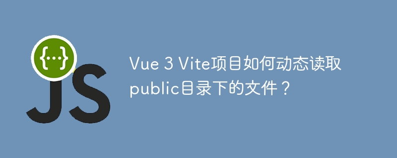 vue 3 vite项目如何动态读取public目录下的文件？