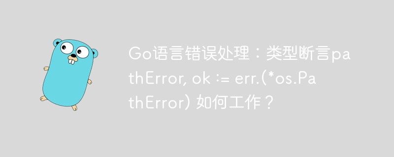 go语言错误处理：类型断言patherror, ok := err.(*os.patherror) 如何工作？