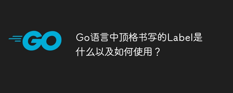 go语言中顶格书写的label是什么以及如何使用？