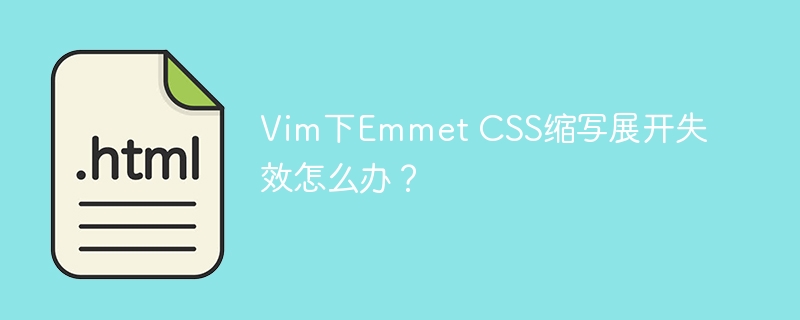 Vim下Emmet CSS缩写展开失效怎么办？