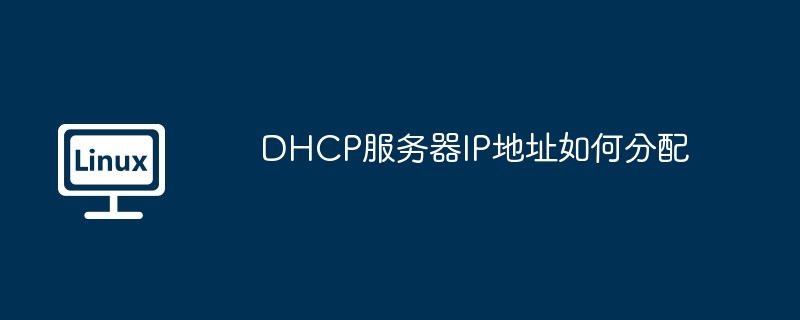 dhcp服务器ip地址如何分配