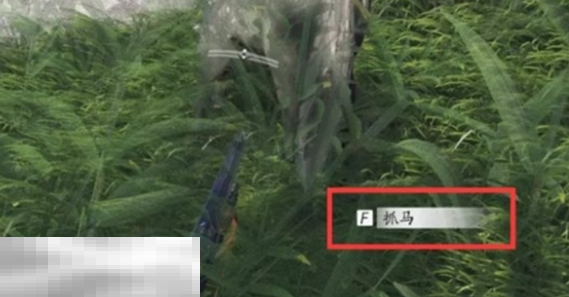 燕云十六声马怎么抓 抓马技巧及方法全攻略