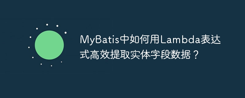 mybatis中如何用lambda表达式高效提取实体字段数据？