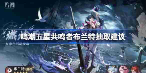 鸣潮五星共鸣者布兰特抽取建议-鸣潮五星共鸣者布兰特要不要抽