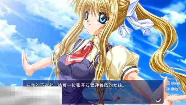 AIR在哪里买 游戏登陆平台介绍