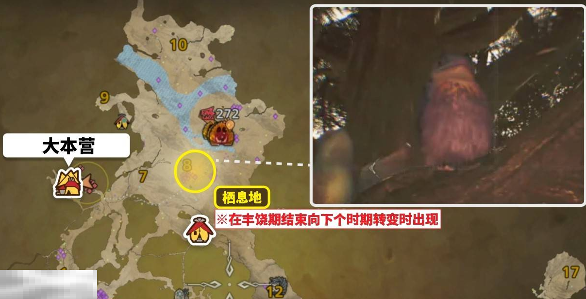 怪物猎人荒野美声歌鸮怎么抓 美声歌鸮捕获方法介绍