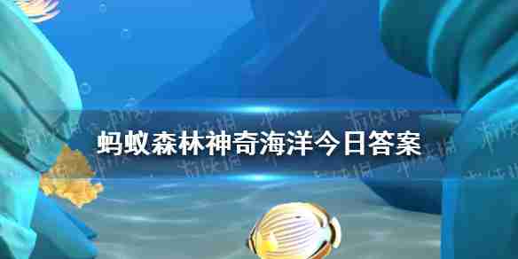 海螺放在耳边就能随时随地听到大海的声音吗   神奇海洋3月10日答案最新
