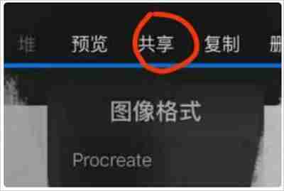 procreate怎么导出图片