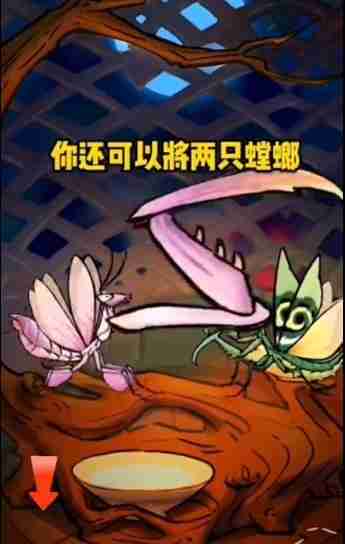 螂的诱惑白龙螳怎么获得 白龙螳获得方法