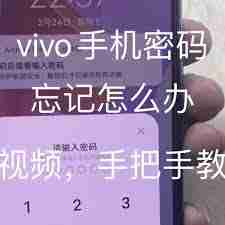 vivo手机密码忘记了怎么找回-忘记vivo手机密码解锁方法
