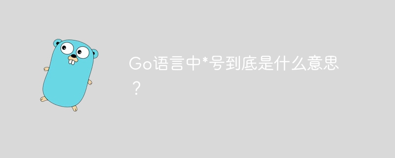 go语言中*号到底是什么意思？