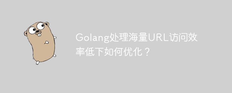 golang处理海量url访问效率低下如何优化？