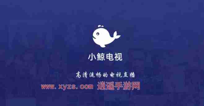小鲸电视怎么看节目回放