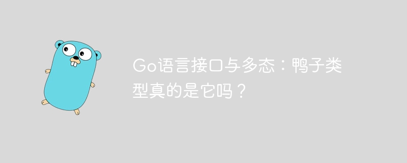 go语言接口与多态：鸭子类型真的是它吗？