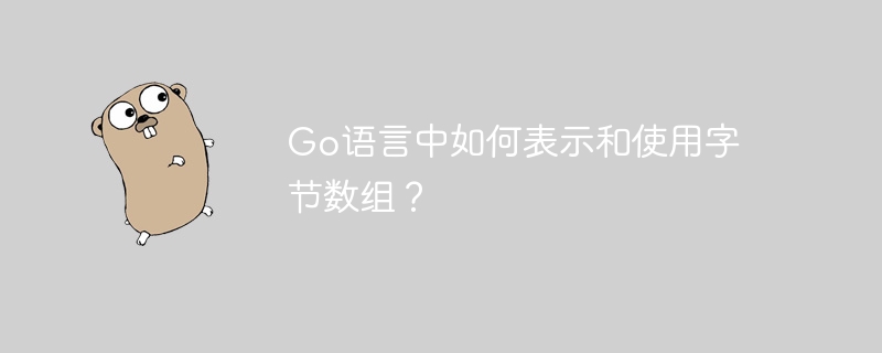 Go语言中如何表示和使用字节数组？
