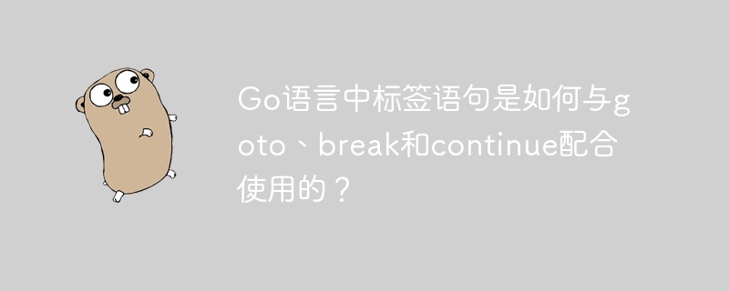 Go语言中标签语句是如何与goto、break和continue配合使用的？