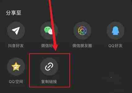 汽水音乐复制链接怎么用啊