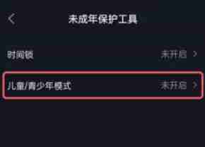 抖音极速版儿童版怎么设置