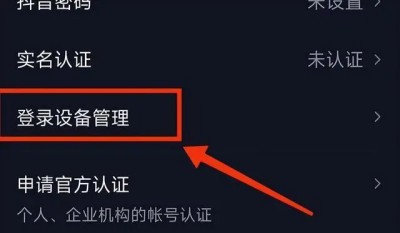 抖音极速版辅助账号是什么意思