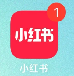 小红书红点怎么取消 小红书红点点开没消息怎么回事