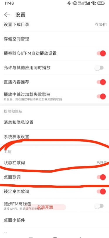 网易云歌词怎么显示在屏幕上苹果手机 网易云歌词桌面显示教程