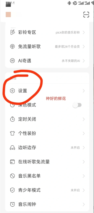 网易云歌词怎么显示在屏幕上苹果手机 网易云歌词桌面显示教程