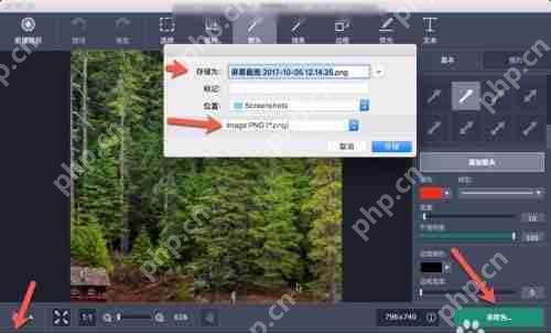 Movavi Screen Recorder怎么用