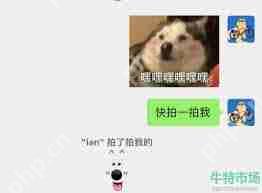 微信拍一拍有哪些小动物图标