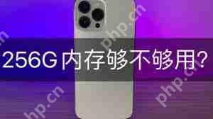 苹果手机256G存储够用吗