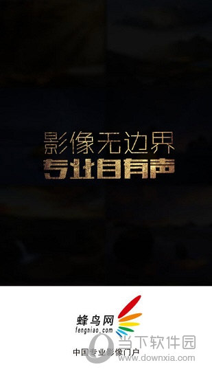 蜂鸟摄影