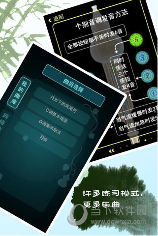 葫芦丝
