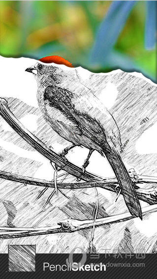 素描大师
