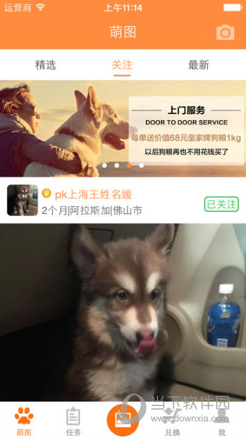汪汪宠物APP