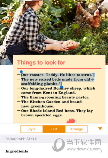 Pages APP