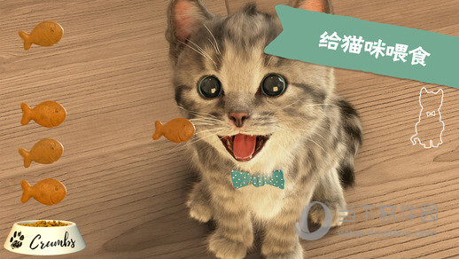 我最喜爱的猫猫