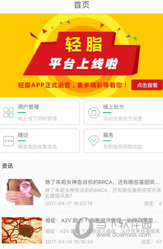 轻脂