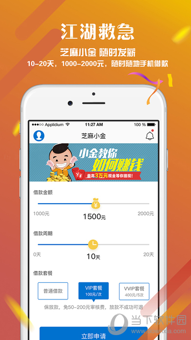 芝麻小金