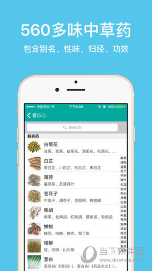 大中医宝典