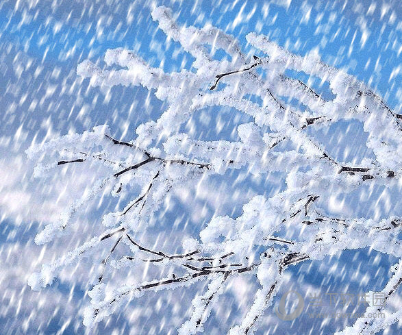 下雪动态桌面