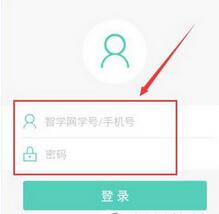输入手机号