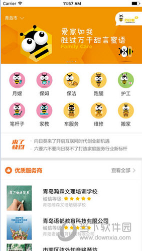 向日葵来了
