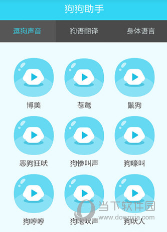 狗狗助手
