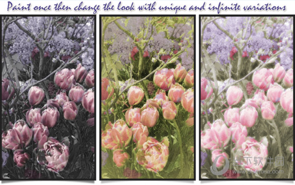 Hand Tint Pro