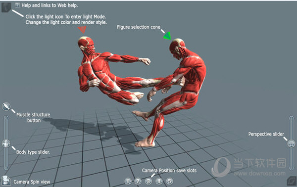 ArtPose Pro