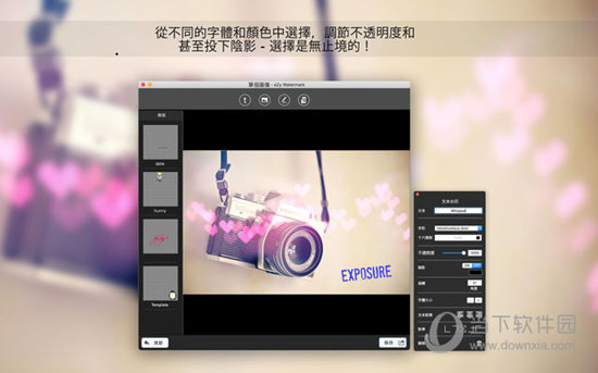 eZy Watermark