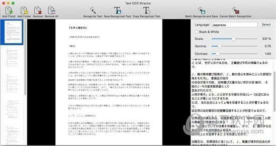 Text OCR Xtractor