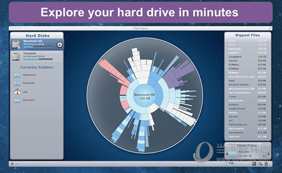 Disk Expert